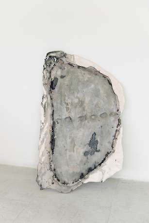 Sweyfossilis